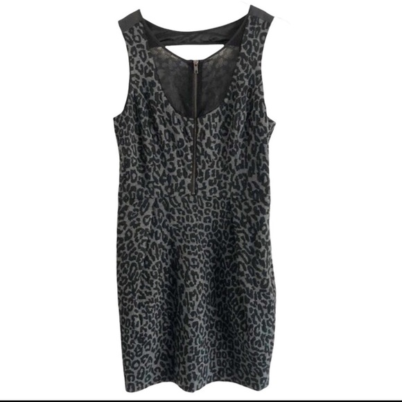 Timo Weiland Size 6 Leopard Print Dress - Picture 14 of 14